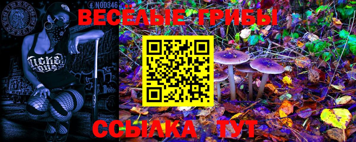 Псилоцибиновые грибы мицелий Тобольск