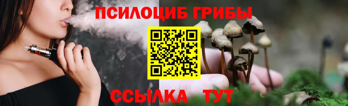 Тобольск  Галлюциногенные грибы Magic Shrooms  Галлюциногенные грибы Cubensis  Вход с VPN 